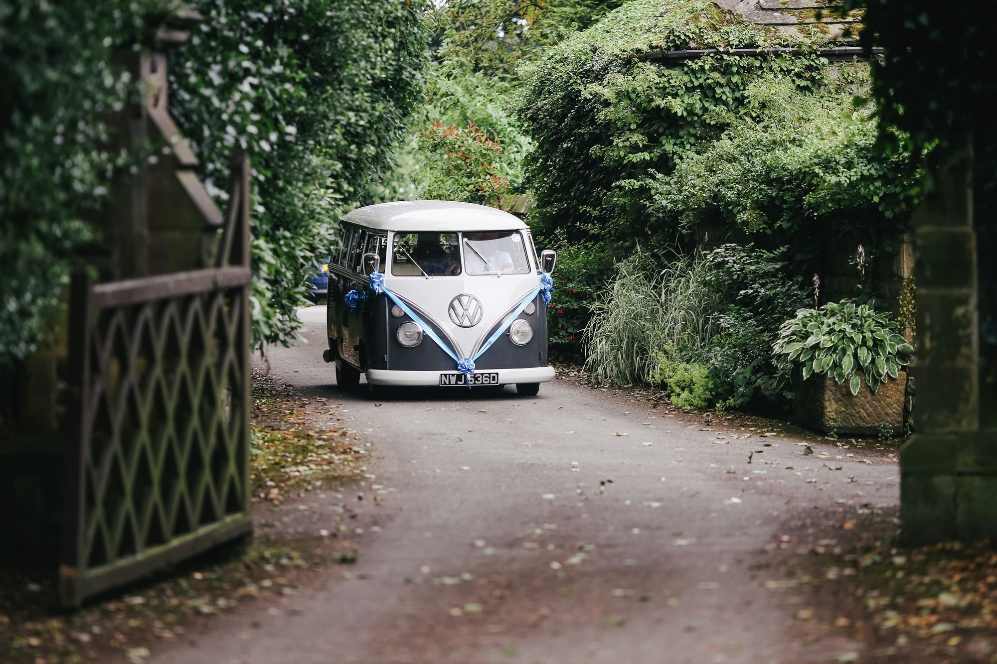 Volkswagen and Revoltech GmbH explore hemp-based car interiors