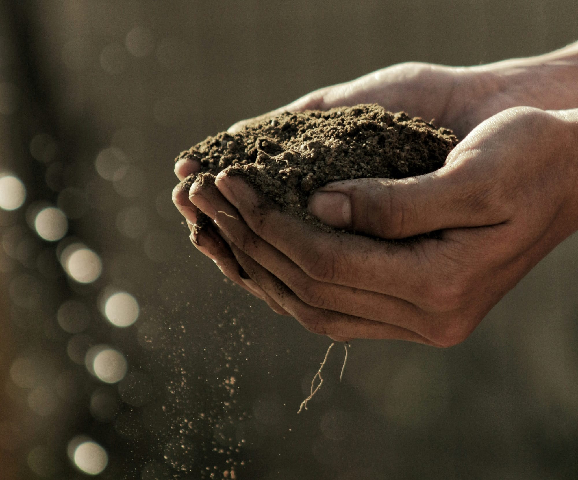 Hemp and Biochar: for soil fertility and climate protection