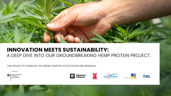 Innovation meets sustainability: A deep dive into our groundbreaking hemp protein project.