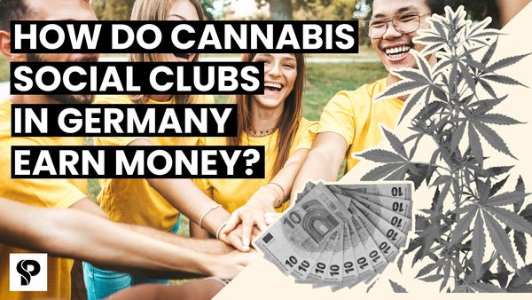 How do cannabis clubs in Germany earn money? All about flat rates and membership fees