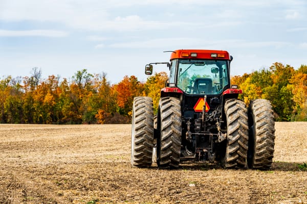 Basic guidelines for industrial hemp farmers in Germany